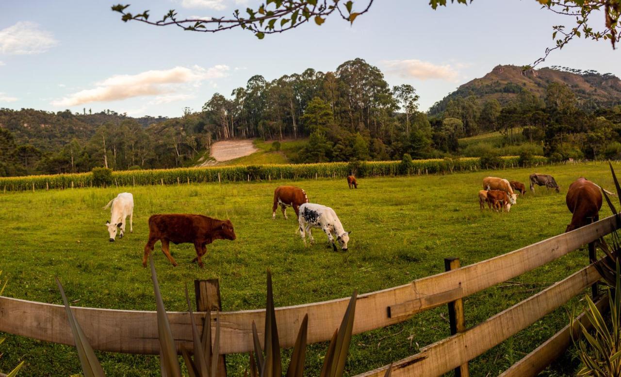 Hospedagem Rural Recanto Do Riacho Urubici Exteriör bild